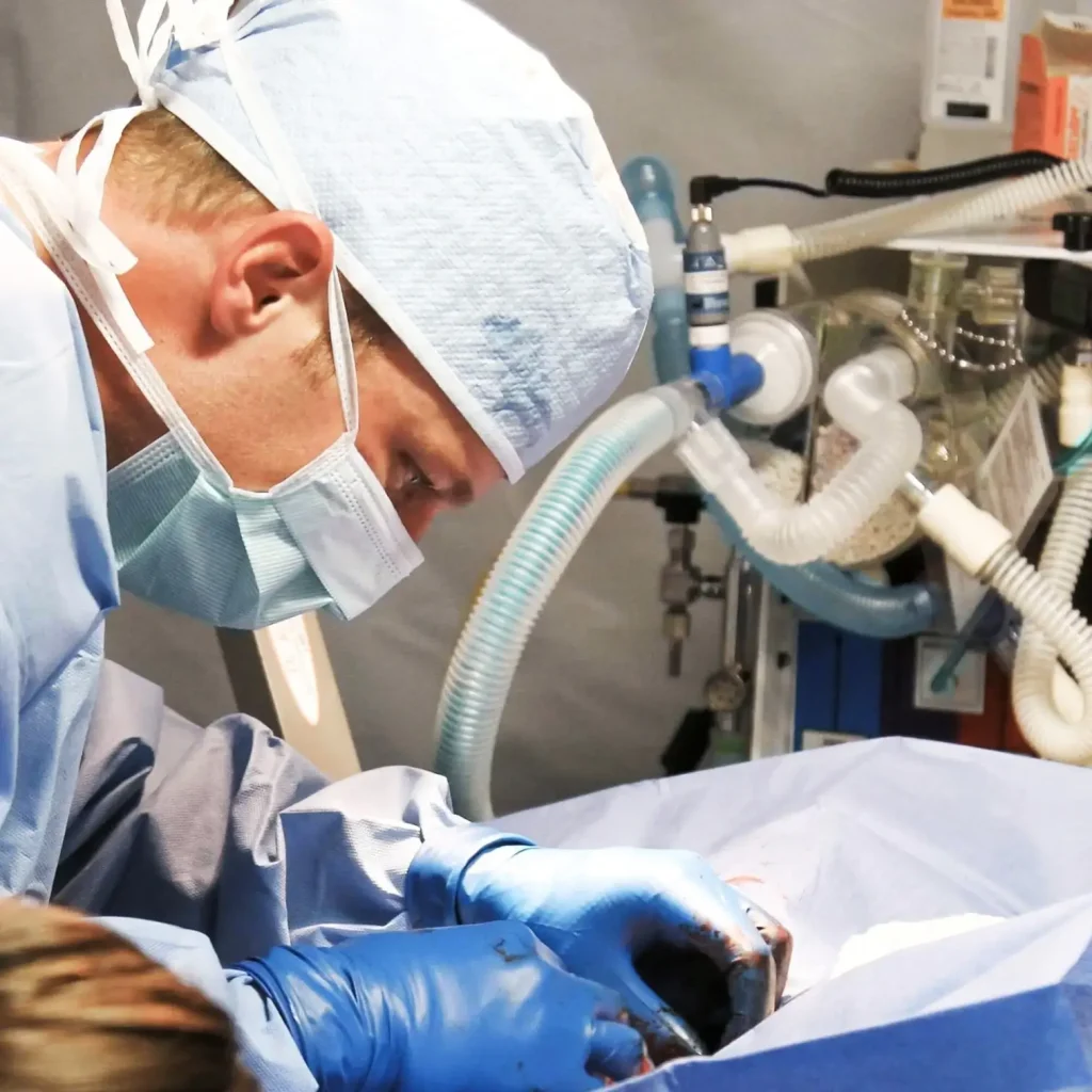 Medical 6 Human Factors & Usability Engineering - - Medical Devices